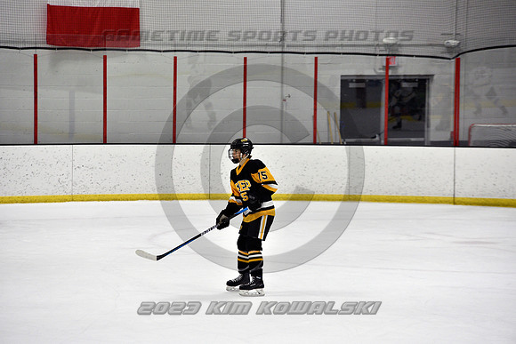 _GSP3339 (Copy)