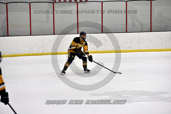 _GSP3161 (Copy)