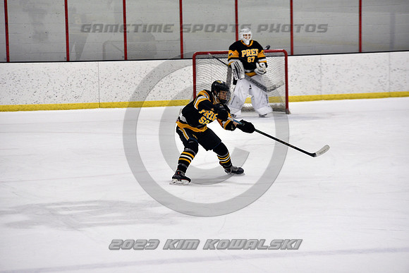 _GSP3162 (Copy)