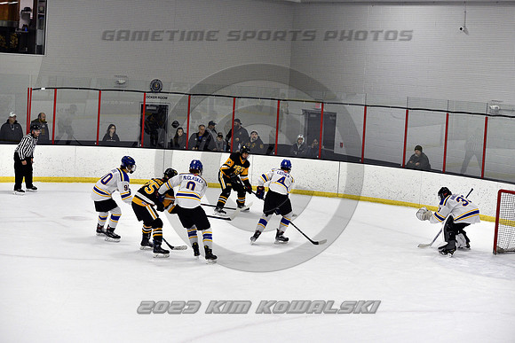 _GSP3343 (Copy)