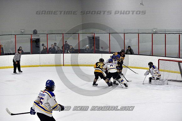 _GSP3344 (Copy)