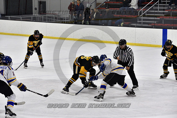 _GSP3091 (Copy)