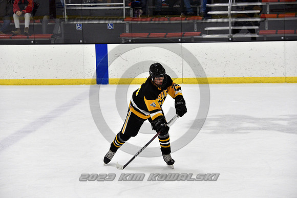_GSP3169 (Copy)