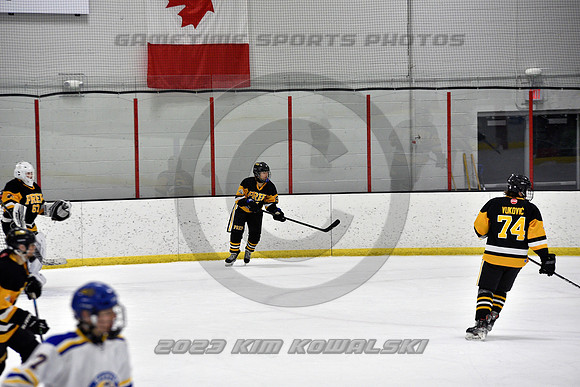 _GSP3272 (Copy)