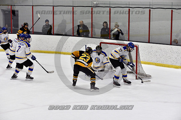 _GSP3239 (Copy)