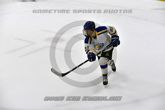 _GSP3348 (Copy)