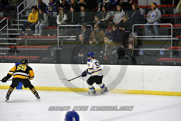 _GSP3095 (Copy)