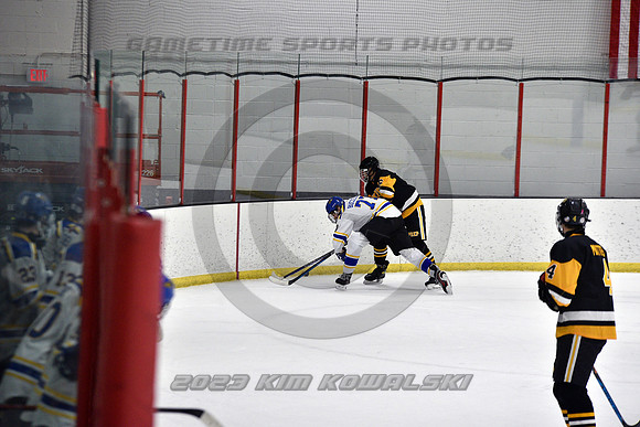 _GSP3366 (Copy)