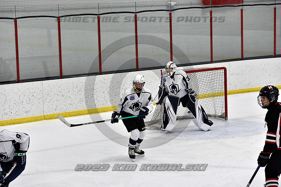 _GSP7784 (Copy)