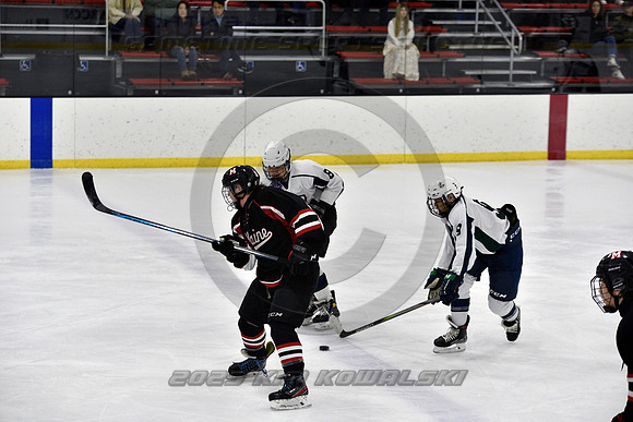 _GSP7801 (Copy)
