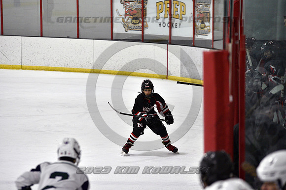 _GSP7869 (Copy)