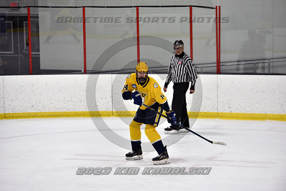 _GSP4417 (Copy)