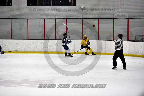 _GSP4425 (Copy)