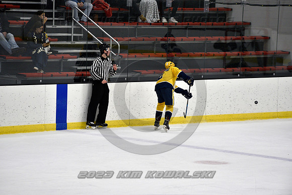 _GSP4459 (Copy)