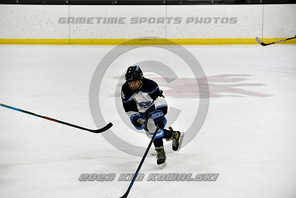 _GSP4517 (Copy)