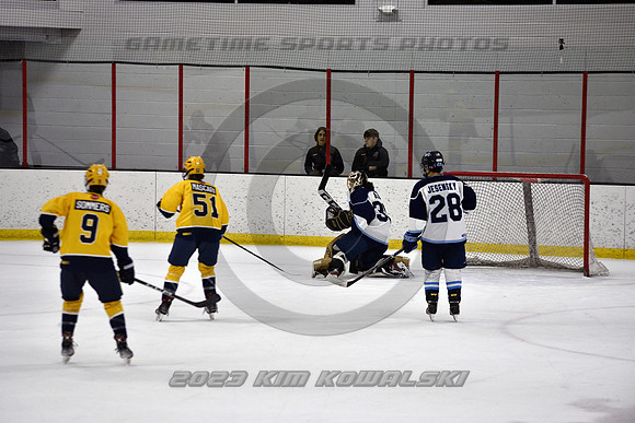 _GSP4539 (Copy)