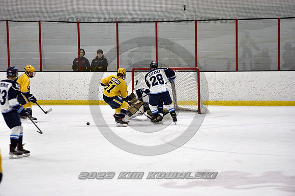 _GSP4541 (Copy)