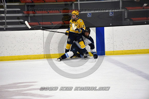 _GSP4629 (Copy)