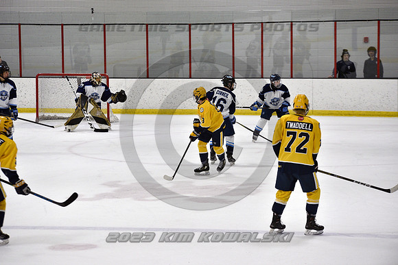 _GSP4661 (Copy)