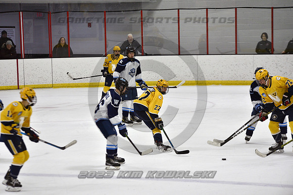 _GSP4666 (Copy)