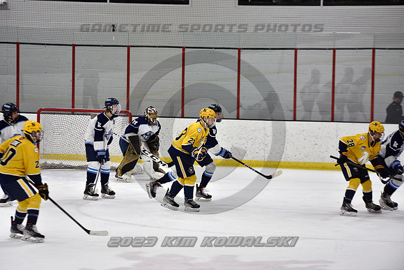 _GSP4733 (Copy)