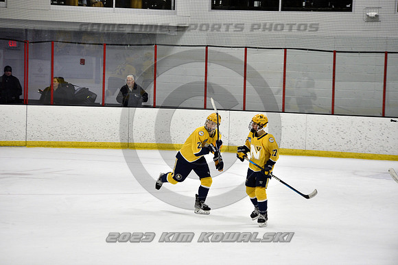 _GSP4738 (Copy)
