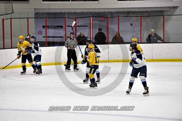 _GSP4761 (Copy)