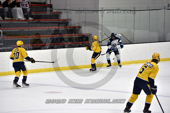 _GSP4769 (Copy)