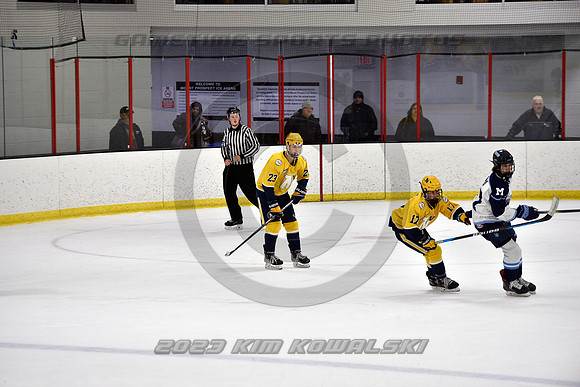 _GSP4772 (Copy)