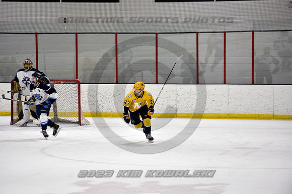 _GSP4805 (Copy)