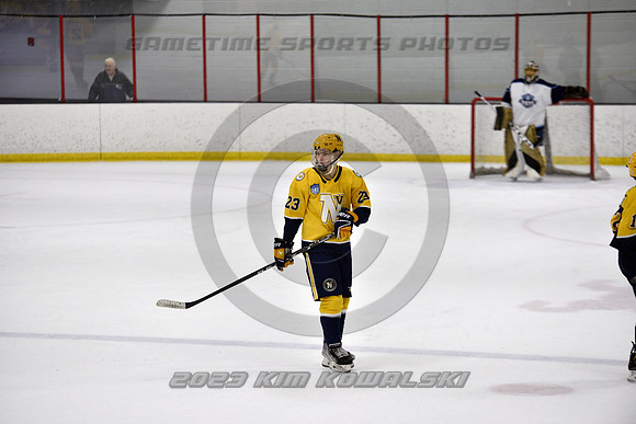 _GSP4833 (Copy)