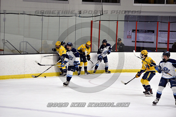 _GSP4847 (Copy)