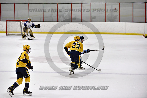 _GSP4932 (Copy)