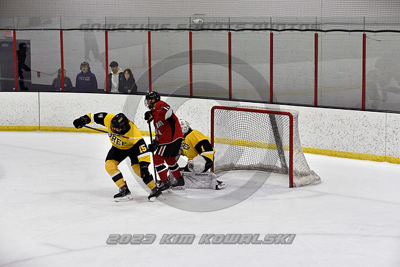 _GSP2042 (Copy)