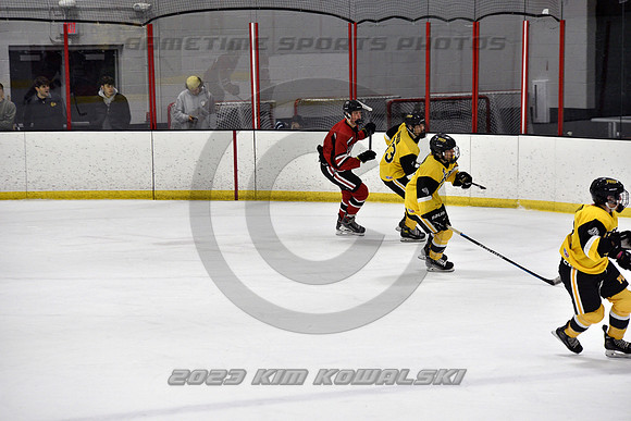 _GSP2079 (Copy)