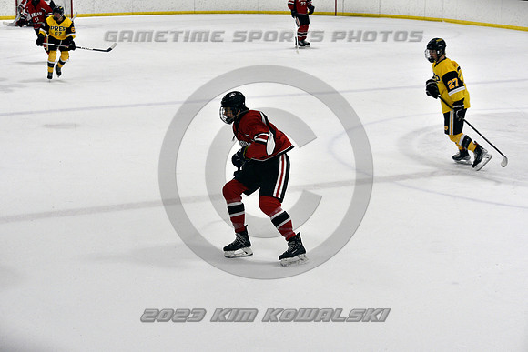_GSP2088 (Copy)