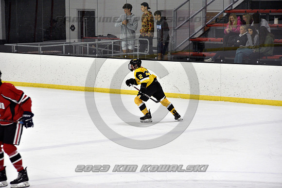 _GSP2090 (Copy)