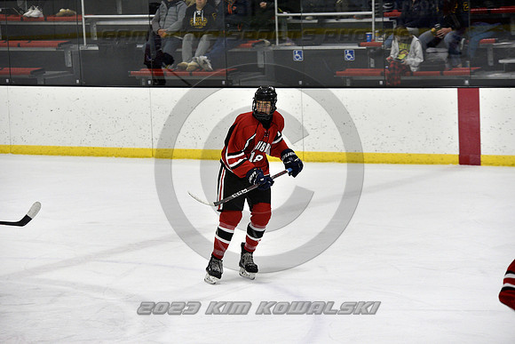 _GSP2095 (Copy)