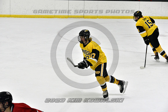 _GSP2110 (Copy)
