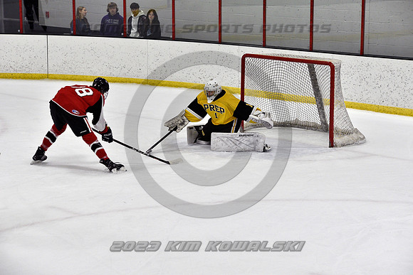 _GSP2117 (Copy)