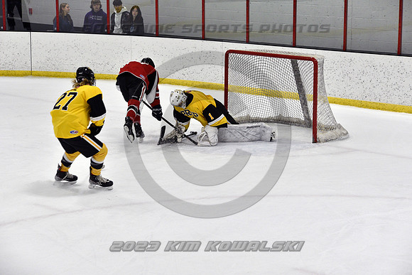 _GSP2118 (Copy)