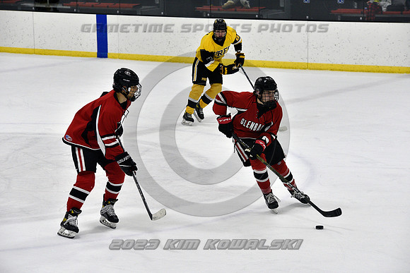 _GSP2129 (Copy)