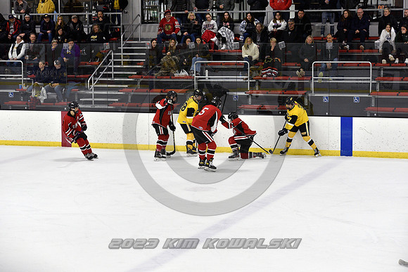 _GSP2135 (Copy)