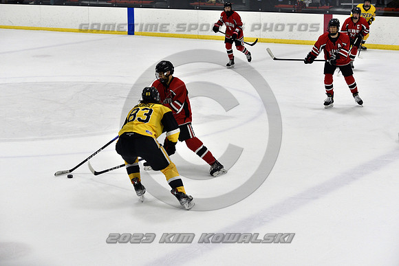 _GSP2136 (Copy)