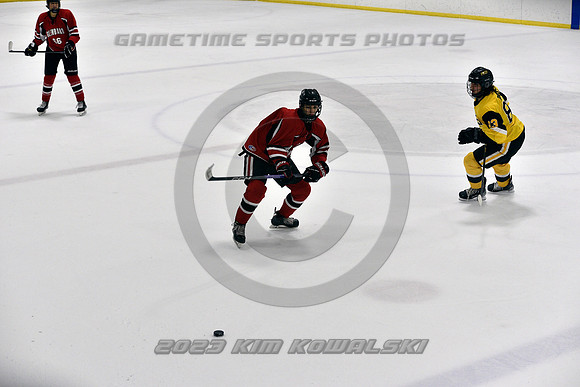 _GSP2137 (Copy)