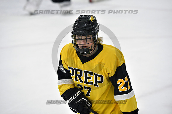 _GSP2139 (Copy)