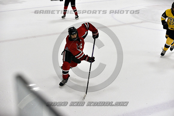 _GSP2138 (Copy)