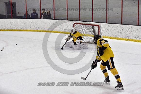 _GSP2149 (Copy)