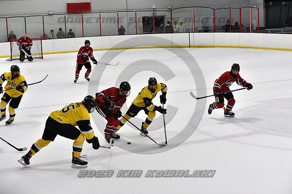 _GSP2171 (Copy)