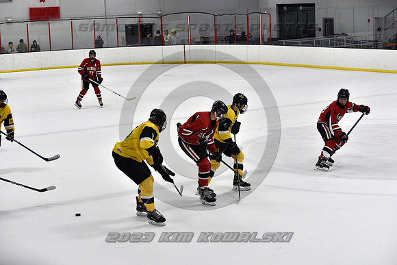_GSP2172 (Copy)